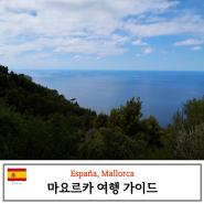 스페인 마요르카 섬 자유여행 꿀팁 총정리 (+ 날씨 렌트카 코스 쇼핑)