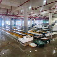 싱싱한 해산물을 직접 위판 하는 완도 금일수협 수산시장
