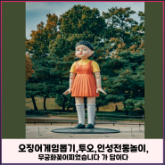 오징어게임 뽑기 투오놀이,윶놀이 무궁화꽃이피었습니다 인성전통놀이가 답이다