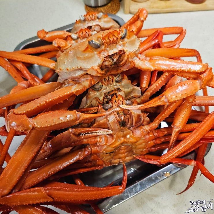 주문진 수산시장 홍게 포장 집에서 홍게 찌는 법 맛있게 먹는법 : 네이버 블로그