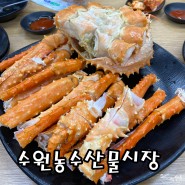 [수원 킹크랩] 수원 농수산물시장 영남수산 꽃게