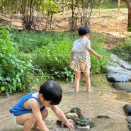 대전 사정공원 아이랑 주말 나들이 갈만 한 곳 (숲속자연놀이터)