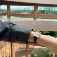 20대 여자친구 선물로도 추천드리는 깔끔한 20대 여자 시계::다니엘 웰링턴 쿼드로 프레스드 [할인 꿀팁]