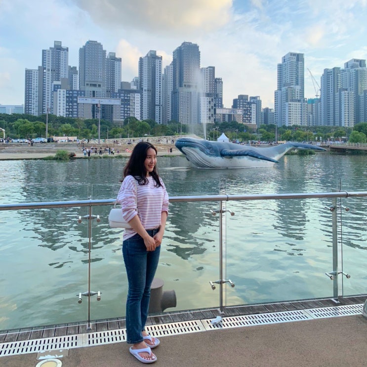 서울 반포 한강공원 데이트 추천 텐트 돗자리 배달존 세빛섬 반포대교 달빛무지개분수 시간 뚜벅뚜벅 축제 잠수교 플리마켓 : 네이버 블로그 서울 반포 한강공원 데이트 추천 텐트 돗자리 배달존 세빛섬 반포대교 달빛무지개분수 시간 뚜벅뚜벅 축제 잠수교 플리마켓 : 네이버 블로그
