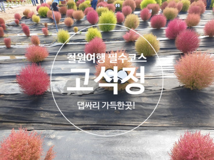 철원 고석정 댑사리 가득, 힐링이었던 여행코스 (+입장X, 주차비O) : 네이버 블로그