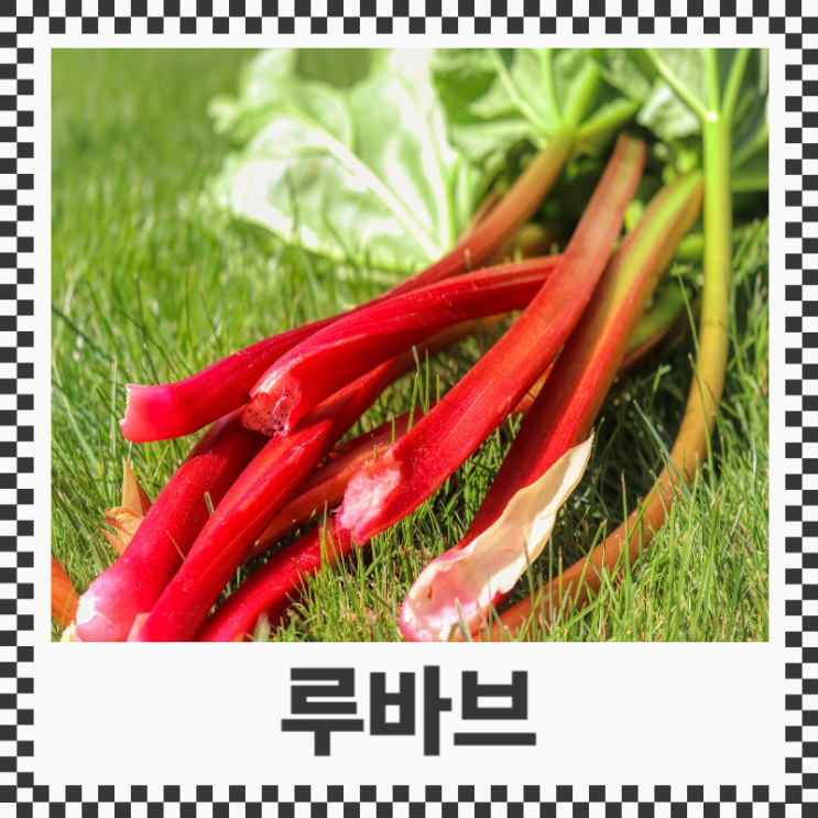 루바브 효능 및 부작용 갱년기에 좋은 루바브 뿌리 추출물 : 네이버 블로그