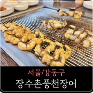 [서울/강동구] 장수촌풍천장어 (암사동장어,암사동맛집, 암사역맛집)