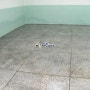 울산청소 지하 매장 바닥청소 후기