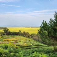 [ 서산 버드랜드 ] 생태탐방로(산책길) 걷기 이벤트