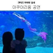 부산 아이와 실내 아쿠아리움 주차 공연 할인 연간 팁