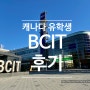 캐나다 BCIT 건축 전공 학생의 생생 후기를 부산유학원에서 전해드립니다~!!!
