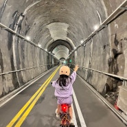 아이와 남한강 자전거길 라이딩 / 팔당역에서 양평역까지 / 자전거 국토종주 인증 / 브롬톤 라이딩