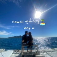 하와이 신혼여행 day3 ♡ 거북이 스노쿨링, 하와이 스냅 촬영, 하와이 인터내셔널 마켓(야드하우스, 해변가 bar), 하와이젤라또