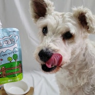 강아지 우유 간식 여름 노견 이온음료