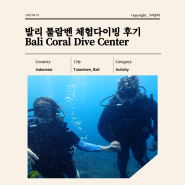 발리 툴람벤 체험다이빙 후기 Coral Dive Center