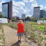 35개월 아이랑 열린송현녹지공원 서울도시건축비엔날레