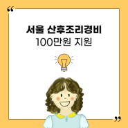 서울시 산후조리비 / 산후조리경비 지원 자세히 알아보기