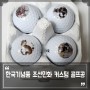 조선민화 강아지 고양이 그림이 그려진 골프공, 한국기념품 외국인친구선물로 딱!