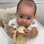 6개월 아기 물 빨대젖병 : 토비앤몰리