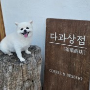 [제주] 애월 애견 동반 카페 다과상점 두 번째 방문