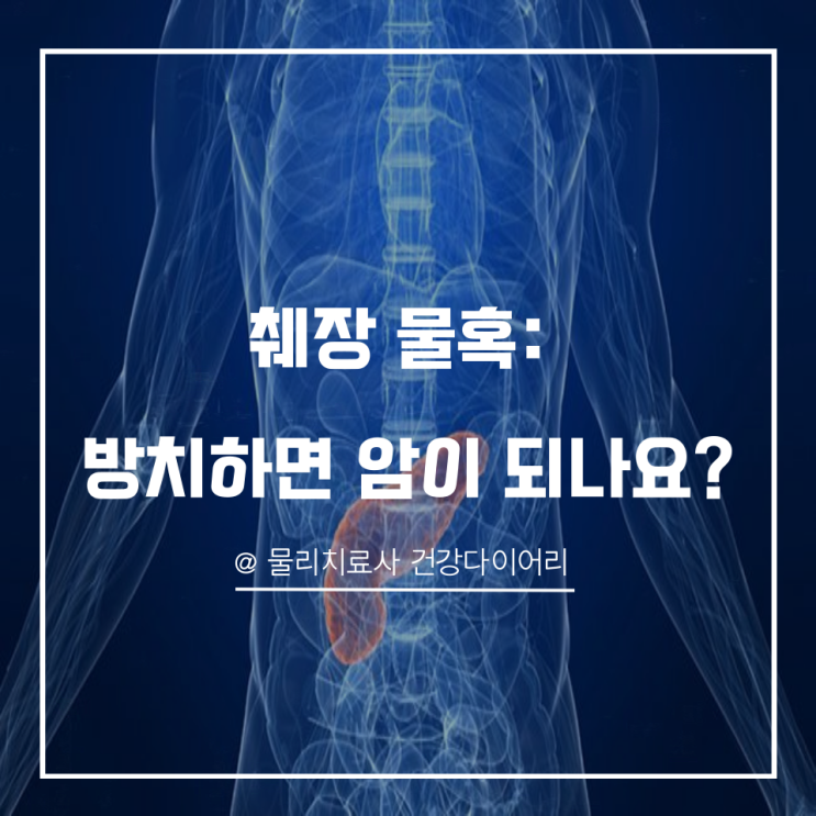 췌장 물혹: 방치하면 암이 되나요? : 네이버 블로그