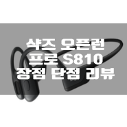 샥즈 오픈런 프로 s810 골전도 이어폰 장점 단점 리뷰 느낌