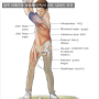 골프 재활 3편 업스윙과 어깨 가동성 평가