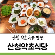 산청 한식 산청약초식당 한정식집 (청국장 비빔밥 쌈밥) 후기