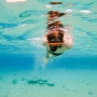[취미수영]폐활량과 수영교정에 도움을 주는 스노클 구입과 추천