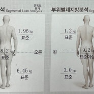 내돈내산 다이어트 식품 최애템 정리 & 다이어트 -4kg 후기