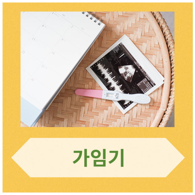 비가임기 가임기 뜻 / 가임기 임신확률 가임기계산 방법 : 네이버 블로그