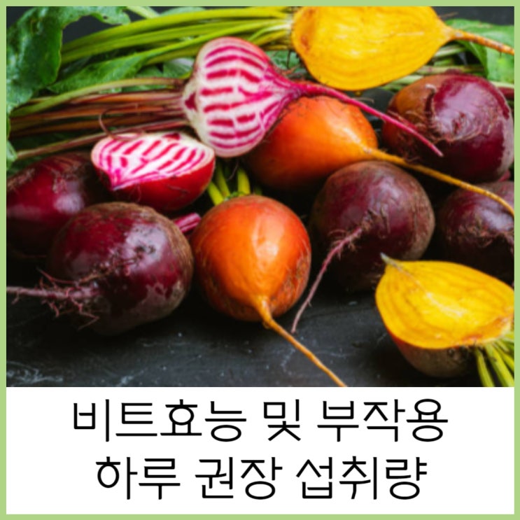 비트효능 및 부작용 하루 권장 섭취량 : 네이버 블로그 비트효능 및 부작용 하루 권장 섭취량 : 네이버 블로그