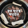 [광주맛집] 양산동 소고기 맛집 "백년한우"