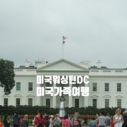 미국 가족여행 중 워싱턴 DC 독립기념일 퍼레이드 관람의 추억