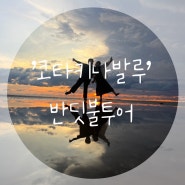 코타키나발루🩵 ‘반딧불투어’