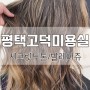 평택고덕미용실 가을염색 컨투어링 발레아쥬 시크릿투톤 후기 by 머리지음 MH SALON