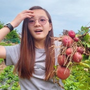 감자캐기 체험 아이들과 텃밭에서 농촌체험