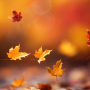 가을에 하면 좋은 것들 - 가을을 즐기는 다양한 활동과 습관