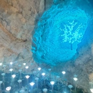 충북여행 동굴 데이트 "활옥동굴"