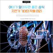 자전거 기어 작동 원리 - 기어비