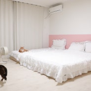 침실꾸미기: 화이트 침구로 꾸민 여름 침실 인테리어