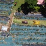 대한민국 오지마을 "양원 라벤더"