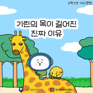 [디로라노 과학이야기] 기린의 목이 길어진 진짜 이유