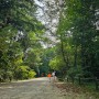 [포천] 가을에 가족과 걷기 좋은 광릉수목원 (국립수목원)
