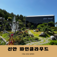 신안 파인클라우드, 씨원리조트 근처 카페 (ft. 정원입장료)