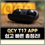 QCY T17 APP 블루투스 이어폰 총정리!