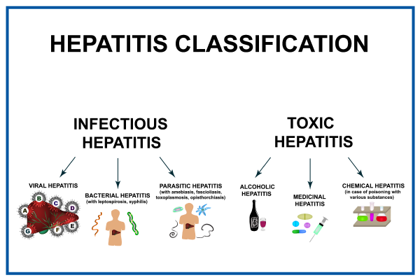 만성 간염의 임상적 분류(Clinical classification of Chronic hepatitis) : 네이버 블로그