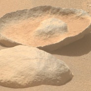 아보카도와 지느러미? 퍼서비어런스가 보내온 다양한 화성의 암석들