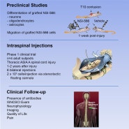 줄기세포 논문 - 척수 손상 (인간최초 1상 연구)