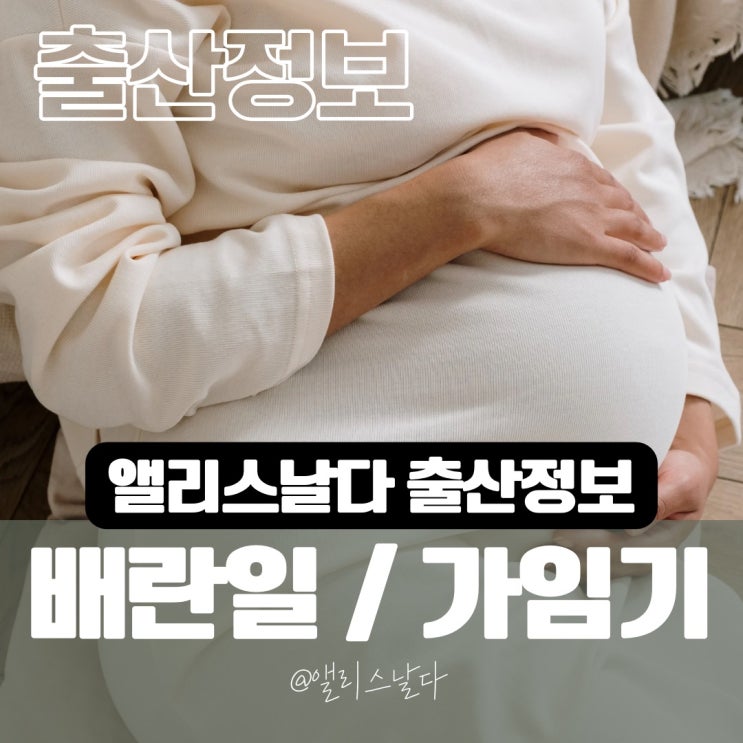 가임기계산법 배란일 가임기 임신할 확률 가능성 계산하는 방법 알아봐요 : 네이버 블로그